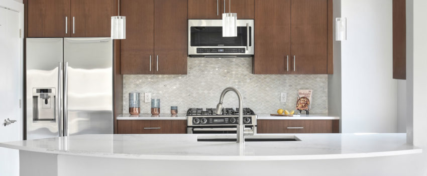 The Luxe in Atlanta kitchen interior design
