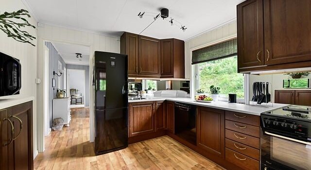 Mid Century Modern Kitchen